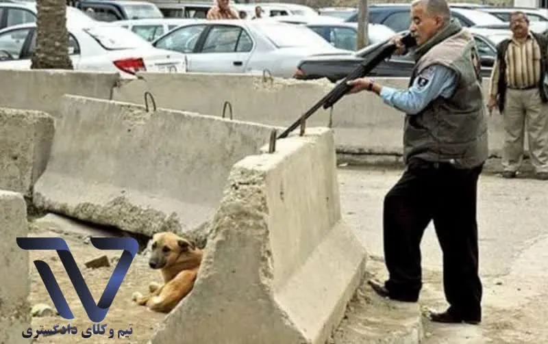 نمونه رای در پرونده به اتهام تظاهر به فعل حرام (کشتن سگ)